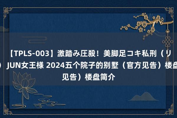 【TPLS-003】激踏み圧殺！美脚足コキ私刑（リンチ） JUN女王様 2024五个院子的别墅（官方见告）楼盘简介