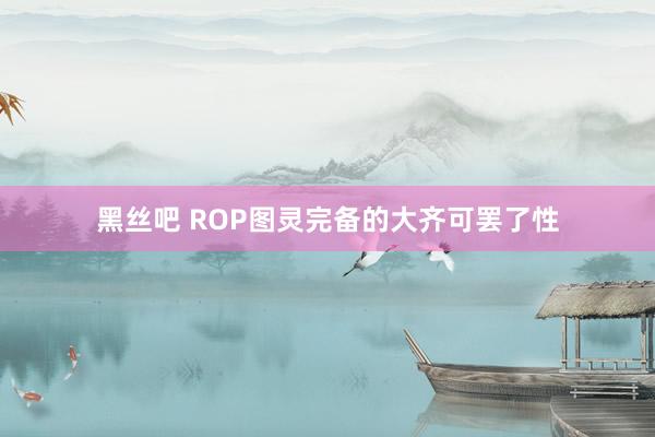 黑丝吧 ROP图灵完备的大齐可罢了性