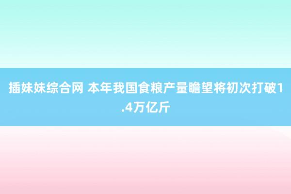 插妹妹综合网 本年我国食粮产量瞻望将初次打破1.4万亿斤