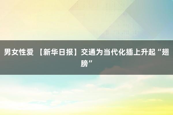 男女性爱 【新华日报】交通为当代化插上升起“翅膀”