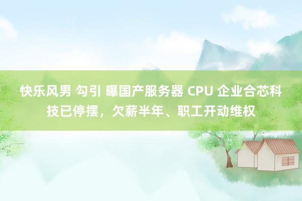 快乐风男 勾引 曝国产服务器 CPU 企业合芯科技已停摆，欠薪半年、职工开动维权