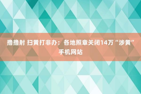 撸撸射 扫黄打非办：各地照章关闭14万“涉黄”手机网站