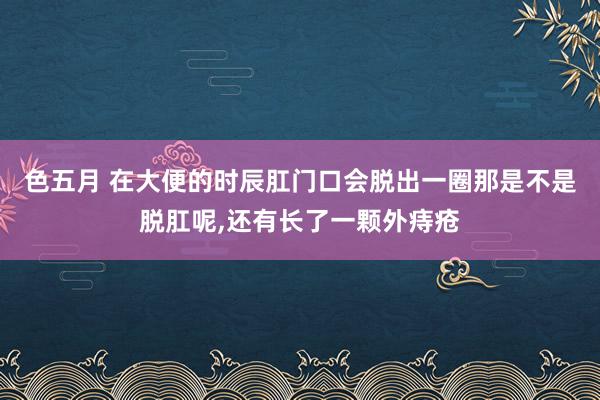 色五月 在大便的时辰肛门口会脱出一圈那是不是脱肛呢，还有长了一颗外痔疮