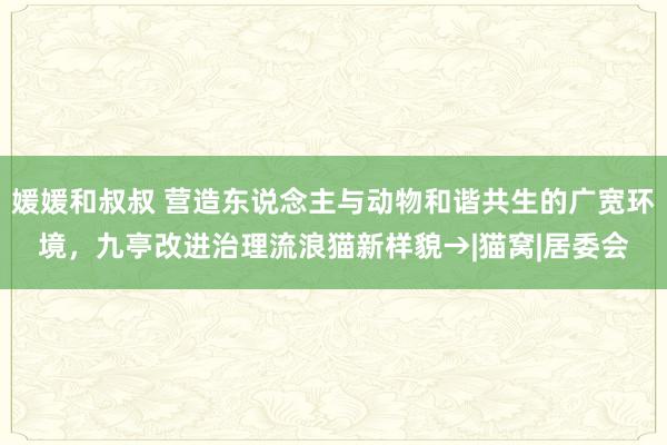 媛媛和叔叔 营造东说念主与动物和谐共生的广宽环境，九亭改进治理流浪猫新样貌→|猫窝|居委会