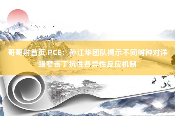 哥哥射首页 PCE：孙江华团队揭示不同树种对洋蜡窄吉丁抗性各异性反应机制